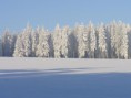 /album/cechy/p1090234-jpg/