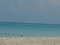 /album/kuba/p1060465-jpg/