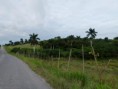 /album/kuba/p1060617-jpg/